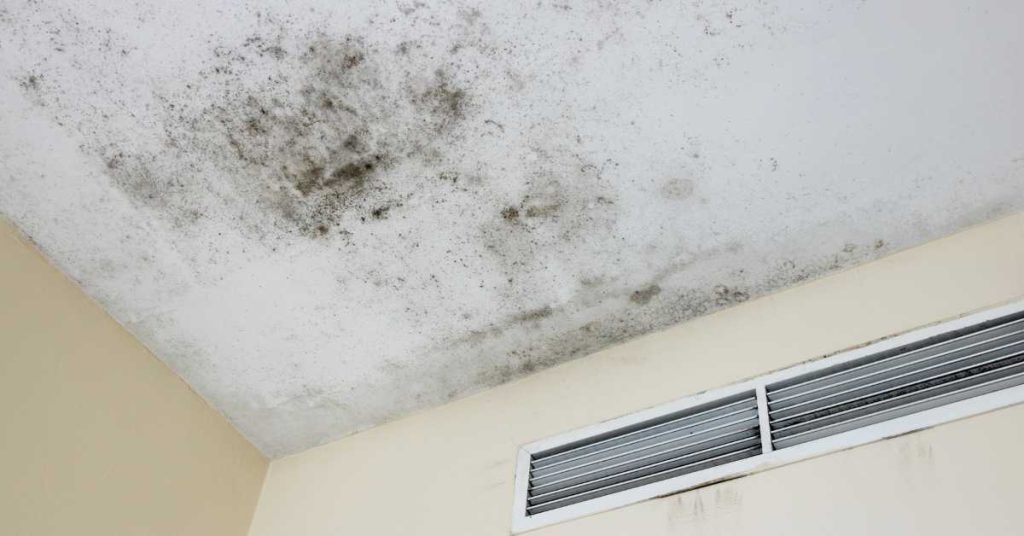 constant and repeated seepage denial