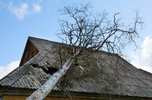 storm damage claims