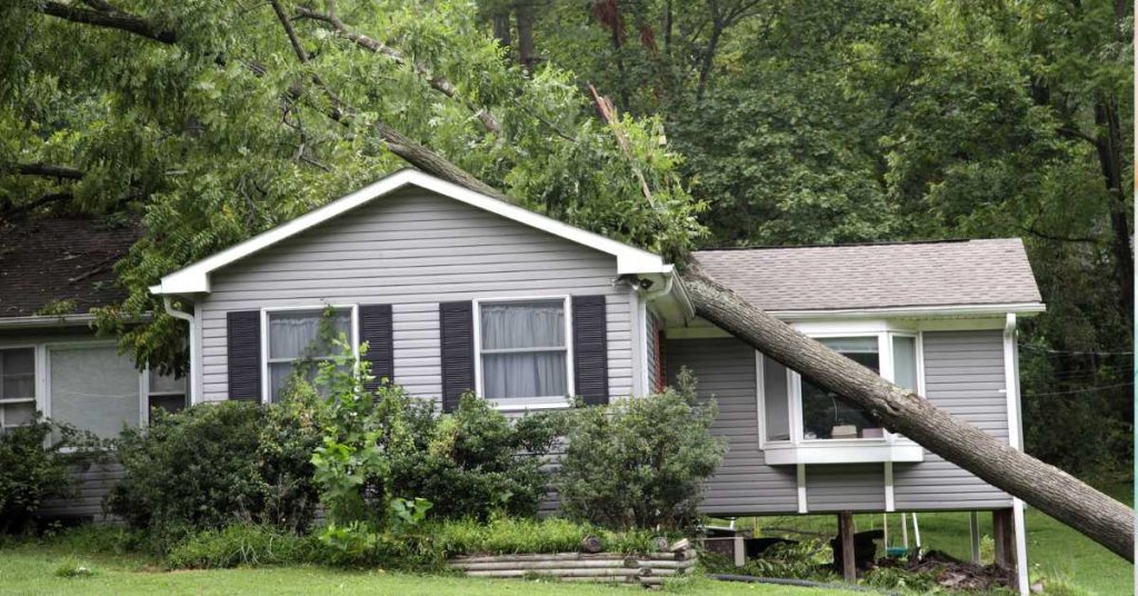 Storm Damage Roof Insurance Claim in Florida