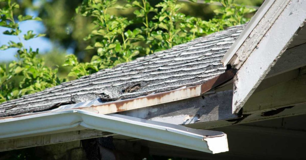 Roof Water Damage